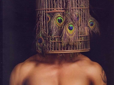 杜达雄 ｜ 魔男志青春鸟集